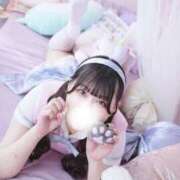 ヒメ日記 2025/07/14 07:25 投稿 かのん チューリップ福井本館