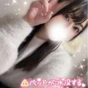 ヒメ日記 2025/02/07 18:54 投稿 かのん チューリップ福井別館