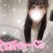 ヒメ日記 2025/03/20 14:34 投稿 かのん チューリップ福井別館