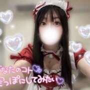 ヒメ日記 2025/04/09 18:54 投稿 かのん チューリップ福井別館