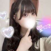 ヒメ日記 2025/04/10 02:08 投稿 かのん チューリップ福井別館