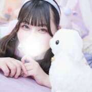 ヒメ日記 2025/07/25 11:24 投稿 かのん チューリップ福井別館