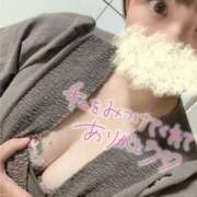 ヒメ日記 2026/02/22 18:44 投稿 すい 池袋人妻ヒットパレード（シンデレラグループ）