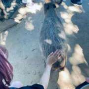 ヒメ日記 2025/09/08 00:02 投稿 りこ 新宿11チャンネル