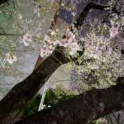 ヒメ日記 2026/03/21 21:20 投稿 りこ 新宿11チャンネル