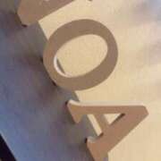 ヒメ日記 2025/07/10 14:04 投稿 和（のどか） NOA（ノア）