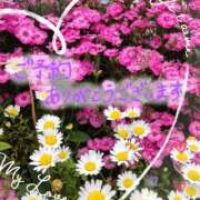 ヒメ日記 2025/05/13 16:18 投稿 あいか奥様 川崎人妻ソープ Mint(ミント)