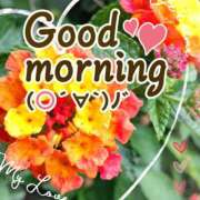 ヒメ日記 2025/06/04 07:15 投稿 あいか奥様 川崎人妻ソープ Mint(ミント)