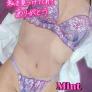 ヒメ日記 2025/11/13 16:20 投稿 あいか奥様 川崎人妻ソープ Mint(ミント)