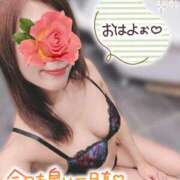 ヒメ日記 2025/11/18 05:05 投稿 あいか奥様 川崎人妻ソープ Mint(ミント)