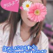 ヒメ日記 2025/12/31 06:16 投稿 あいか奥様 川崎人妻ソープ Mint(ミント)