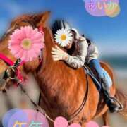 ヒメ日記 2026/01/01 20:04 投稿 あいか奥様 川崎人妻ソープ Mint(ミント)