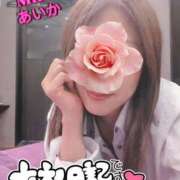 ヒメ日記 2026/02/16 20:13 投稿 あいか奥様 川崎人妻ソープ Mint(ミント)