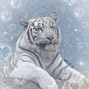 ヒメ日記 2026/03/02 17:16 投稿 あいか奥様 川崎人妻ソープ Mint(ミント)