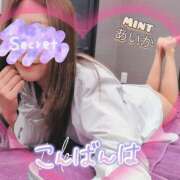 ヒメ日記 2026/03/16 20:30 投稿 あいか奥様 川崎人妻ソープ Mint(ミント)