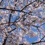 ヒメ日記 2026/04/03 20:41 投稿 あいか奥様 川崎人妻ソープ Mint(ミント)