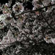 ヒメ日記 2026/04/10 21:00 投稿 あいか奥様 川崎人妻ソープ Mint(ミント)