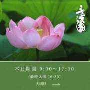 ヒメ日記 2026/08/05 11:45 投稿 あいか奥様 川崎人妻ソープ Mint(ミント)