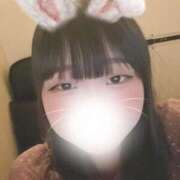 ヒメ日記 2025/01/22 13:55 投稿 かのん 品川ラズベリー（シンデレラグループ）