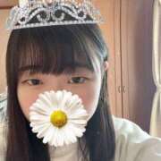 ヒメ日記 2025/01/24 17:44 投稿 かのん 品川ラズベリー（シンデレラグループ）