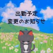 ヒメ日記 2026/04/12 11:04 投稿 れおな 熟女総本店 堺東店