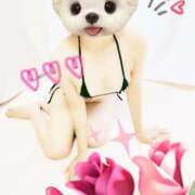 ヒメ日記 2025/01/17 15:43 投稿 えいか One More 奥様　錦糸町店