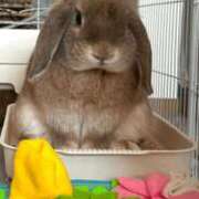 ヒメ日記 2025/01/25 06:26 投稿 なみ 熟女の風俗アウトレット大垣安八羽島店