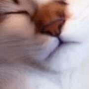 ヒメ日記 2025/02/11 02:16 投稿 なみ 熟女の風俗アウトレット大垣安八羽島店