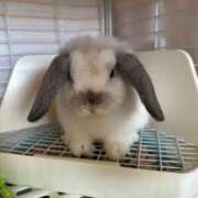 ヒメ日記 2025/02/24 17:46 投稿 なみ 熟女の風俗アウトレット大垣安八羽島店