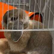 ヒメ日記 2025/03/12 13:56 投稿 なみ 熟女の風俗アウトレット大垣安八羽島店