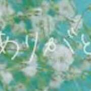 ヒメ日記 2025/03/16 18:29 投稿 なみ 熟女の風俗アウトレット大垣安八羽島店