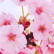 ヒメ日記 2025/03/18 12:06 投稿 なみ 熟女の風俗アウトレット大垣安八羽島店