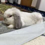 ヒメ日記 2025/03/21 11:42 投稿 なみ 熟女の風俗アウトレット大垣安八羽島店