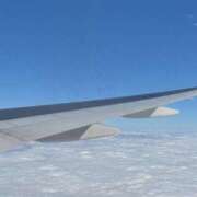 ヒメ日記 2025/01/20 21:22 投稿 ふゆ 所沢東村山ちゃんこ