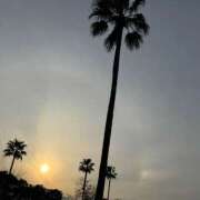 ヒメ日記 2025/01/21 14:17 投稿 ふゆ 所沢東村山ちゃんこ