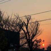 ヒメ日記 2025/01/24 22:58 投稿 ふゆ 所沢東村山ちゃんこ