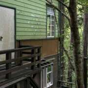 ヒメ日記 2025/02/09 19:21 投稿 ふゆ 所沢東村山ちゃんこ