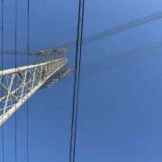 ヒメ日記 2025/02/26 16:16 投稿 ふゆ 所沢東村山ちゃんこ