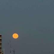 ヒメ日記 2025/03/15 17:04 投稿 ふゆ 所沢東村山ちゃんこ