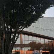 ヒメ日記 2025/03/27 22:58 投稿 ふゆ 所沢東村山ちゃんこ