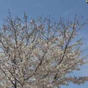 ヒメ日記 2025/03/28 17:04 投稿 ふゆ 所沢東村山ちゃんこ