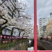 ヒメ日記 2025/04/11 15:11 投稿 ふゆ 所沢東村山ちゃんこ