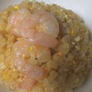 ヒメ日記 2025/04/19 16:55 投稿 ふゆ 所沢東村山ちゃんこ