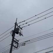 ヒメ日記 2025/06/11 15:13 投稿 ふゆ 所沢東村山ちゃんこ