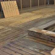 ヒメ日記 2025/08/31 14:20 投稿 ふゆ 所沢東村山ちゃんこ