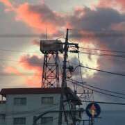 ヒメ日記 2026/01/07 14:26 投稿 ふゆ 所沢東村山ちゃんこ