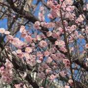 ヒメ日記 2026/03/08 16:50 投稿 ふゆ 所沢東村山ちゃんこ