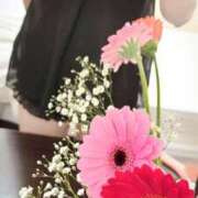 ヒメ日記 2025/02/08 12:01 投稿 神里まこと ABC 岩手ソープ