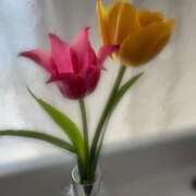 ヒメ日記 2025/03/24 10:01 投稿 神里まこと ABC 岩手ソープ