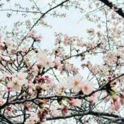 ヒメ日記 2025/04/18 15:16 投稿 神里まこと ABC 岩手ソープ